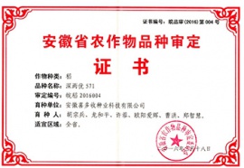 深兩優(yōu)571證書