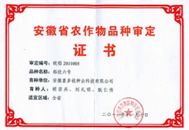 裕優(yōu)六號證書