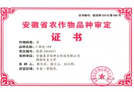 C兩優(yōu)198證書