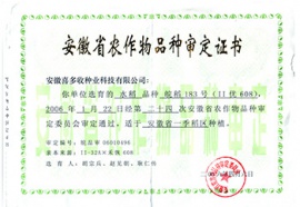皖稻183號證書